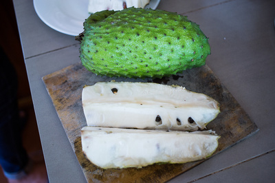 Annona muricata